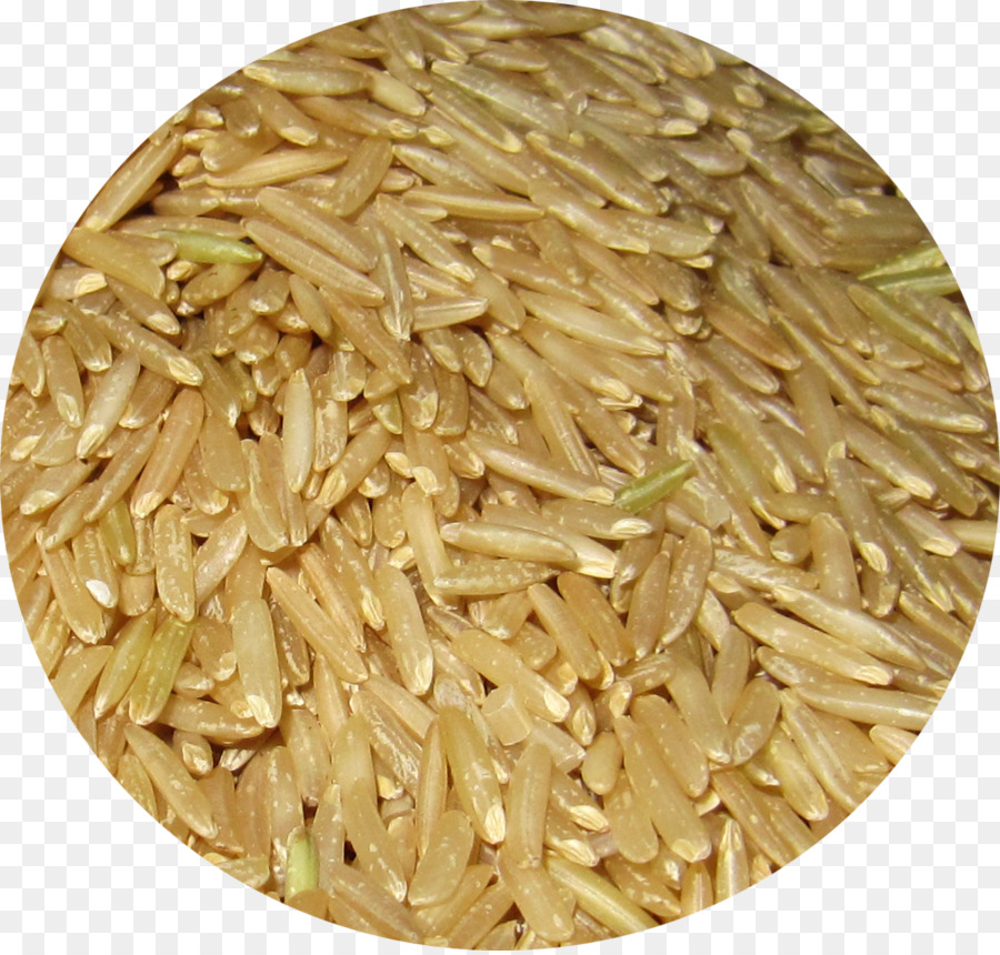 Riz Brun，Grains PNG