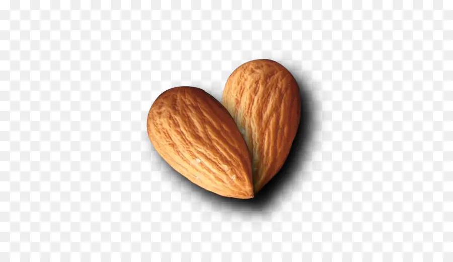 Amandes，Noix PNG