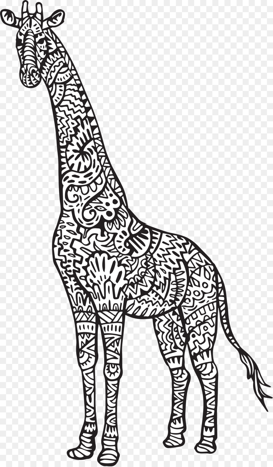 Bebe Girafes La Girafe Reticulee Livre De Coloriage Png Bebe Girafes La Girafe Reticulee Livre De Coloriage Transparentes Png Gratuit
