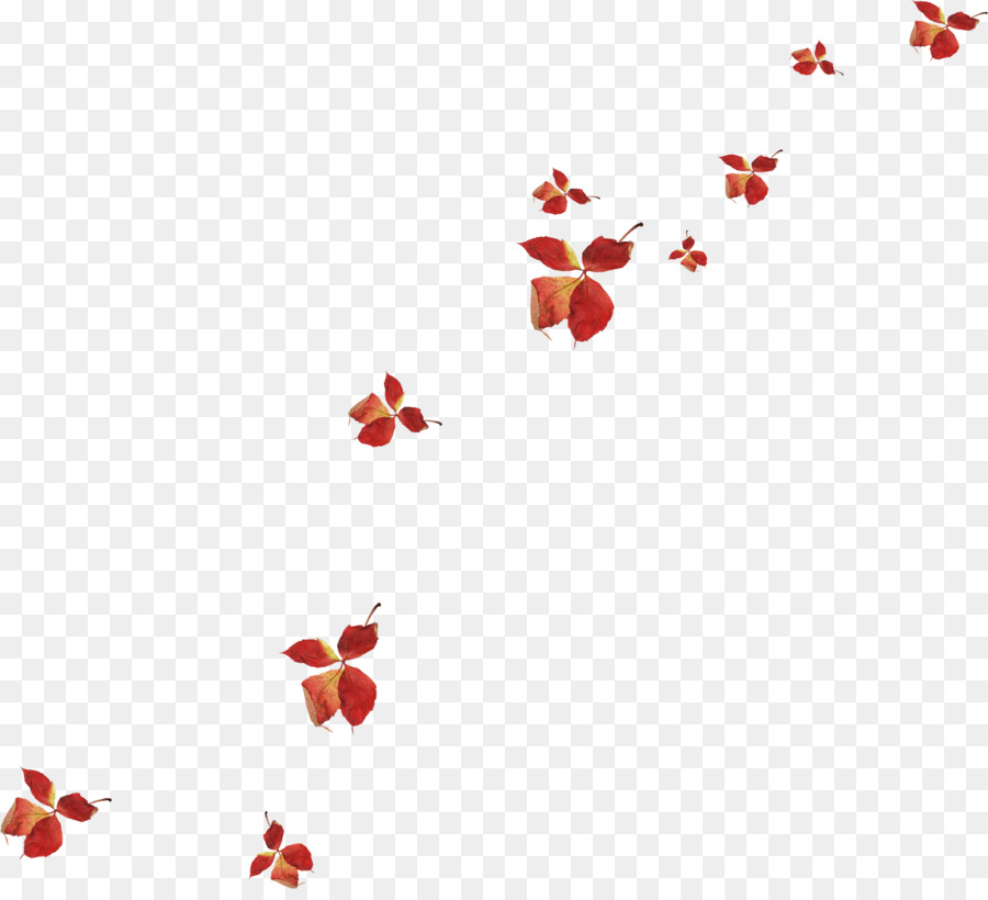 Pétales Roses，Fleur PNG