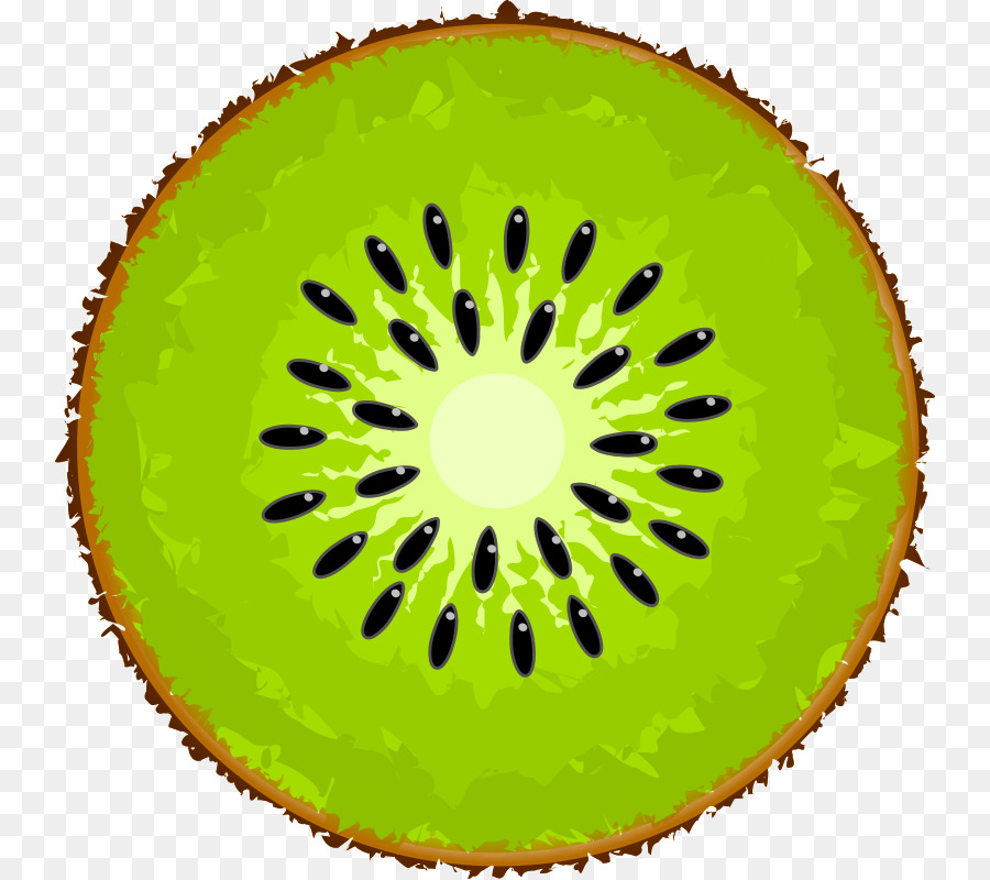 Kiwi，Vert PNG