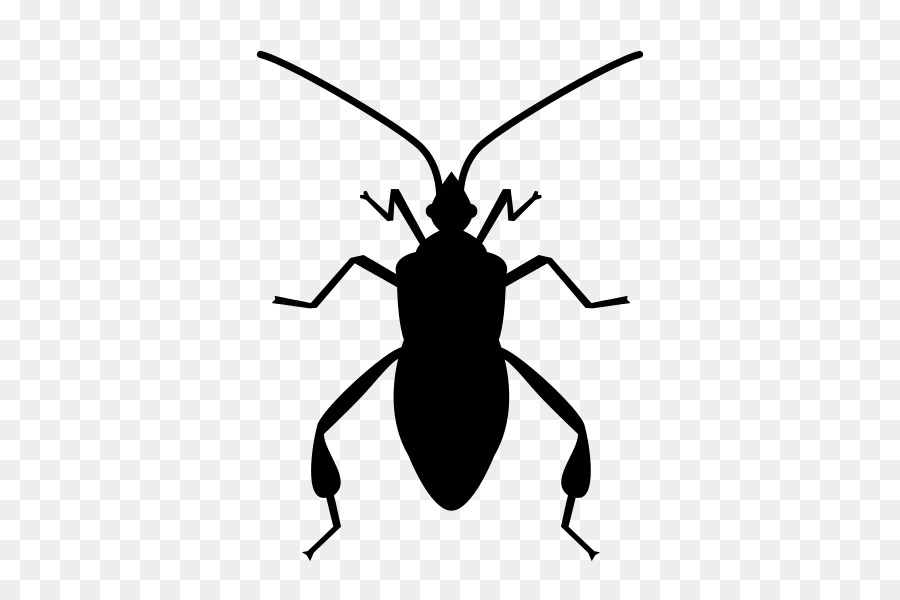 Les Insectes，Bug Logiciel PNG