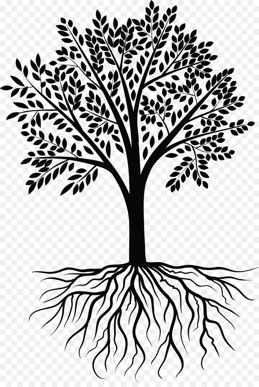 Arbre Avec Des Racines，Usine PNG