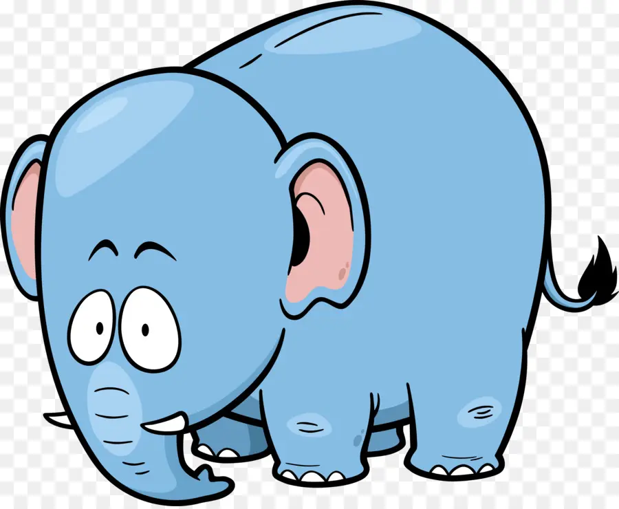 Éléphant，Dessin Animé PNG