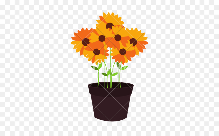 Tournesols，Fleurs PNG