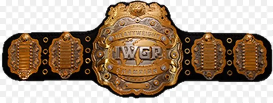 Championnat D'équipe Iwgp Tag，Championnat Iwgp Junior Heavyweight PNG
