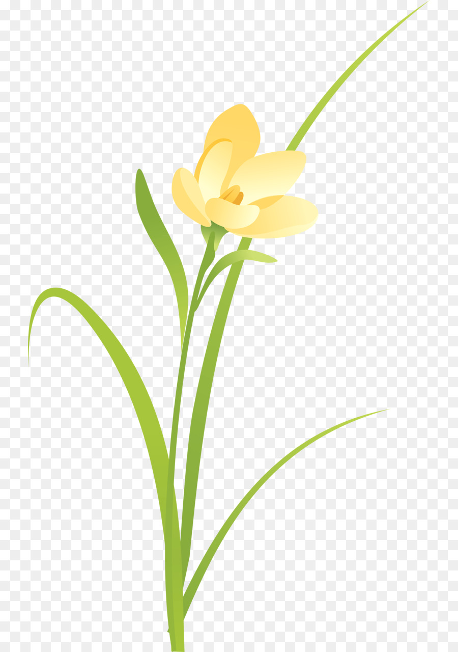 Plante Verte，Feuilles PNG