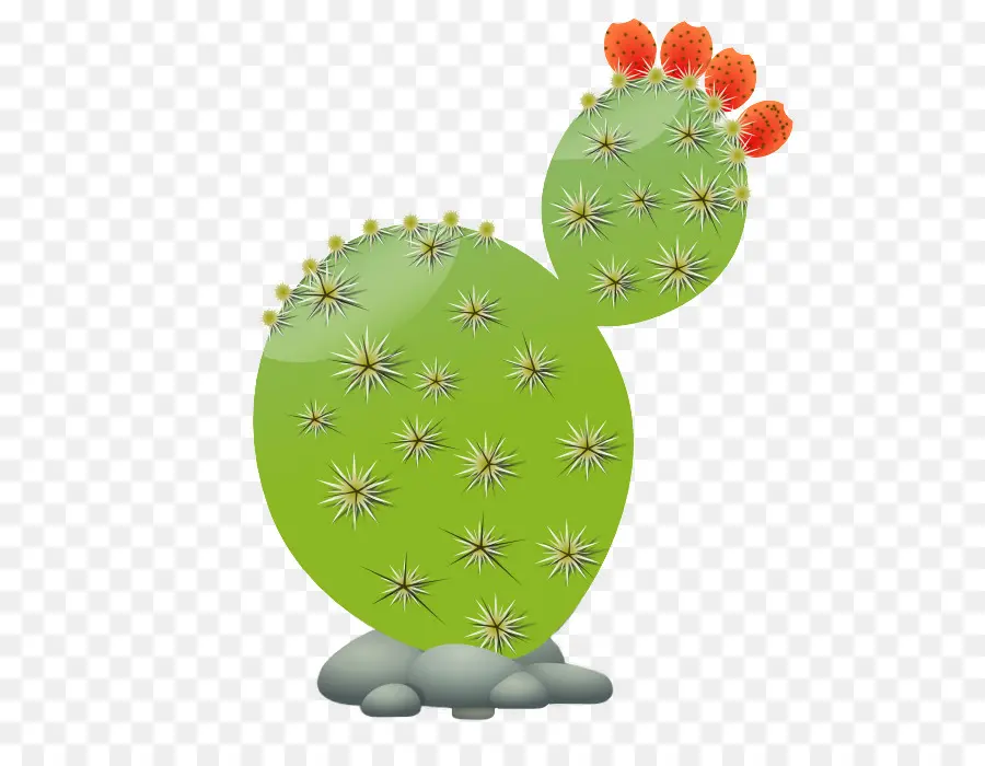 Cactus De Dessin Animé，Figue De Barbarie PNG