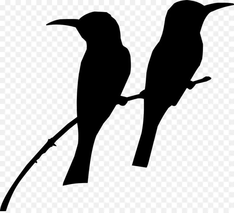 Silhouettes D'oiseaux，Ombre PNG