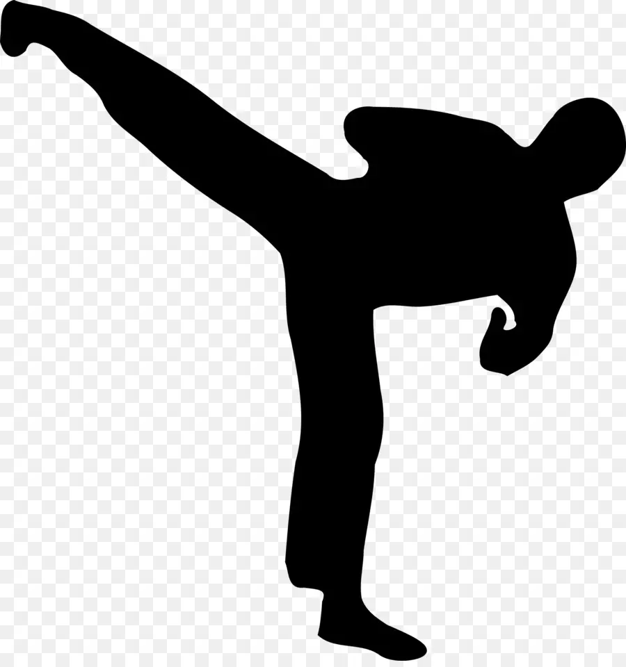 Kickboxing，Silhouette PNG