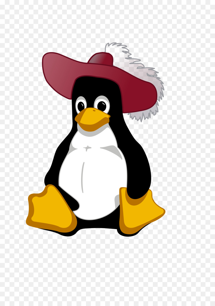 Pingouin Avec Chapeau，Mignon PNG