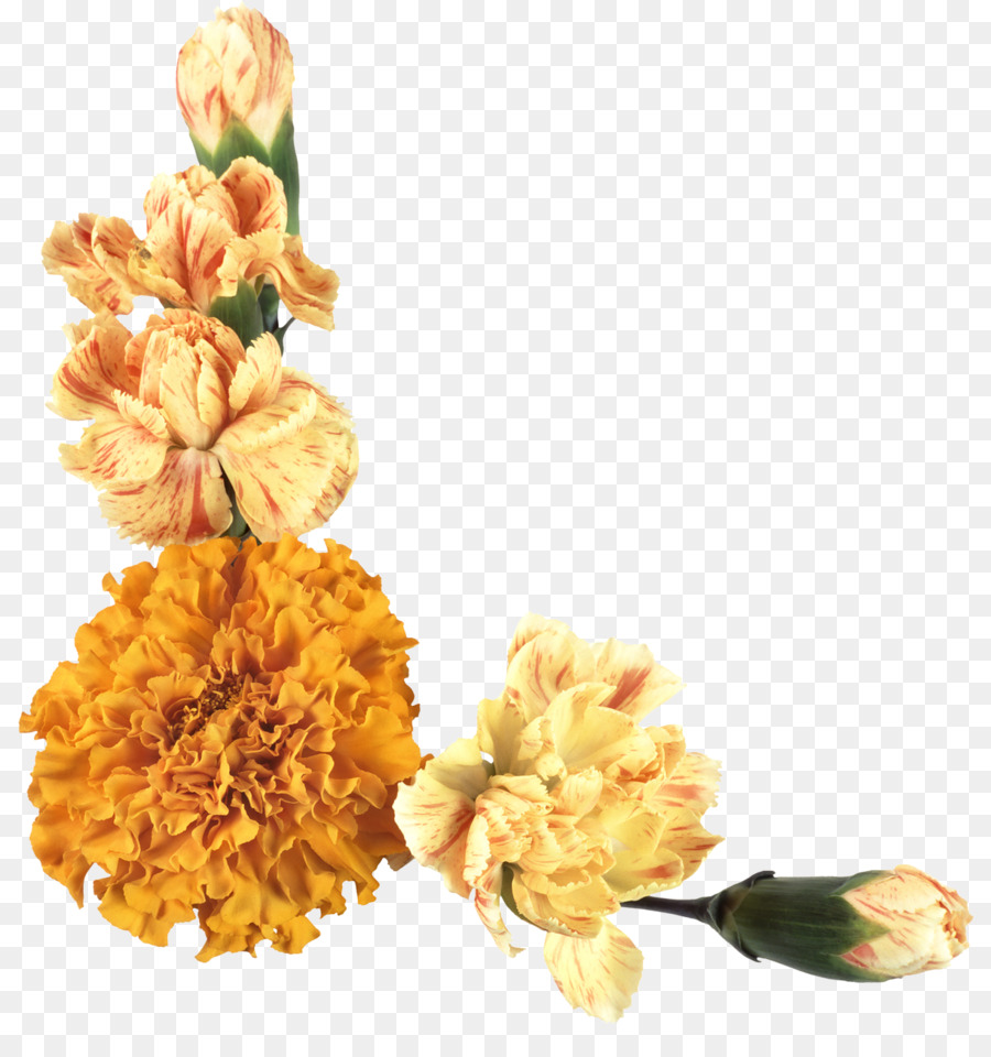 Fleur，Couper Les Fleurs PNG