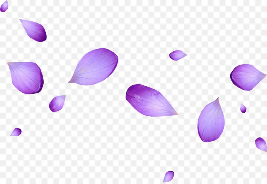 Pétales Violets，Fleur PNG