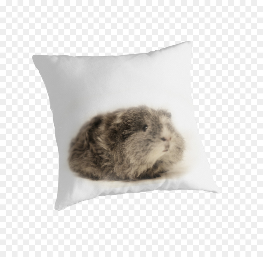 League Of Legends，Coussin PNG