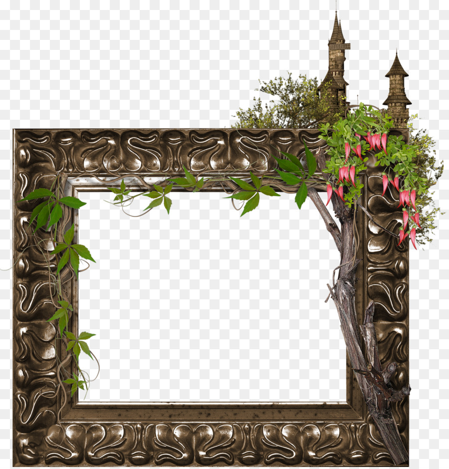 Cadre Décoratif，Décor PNG