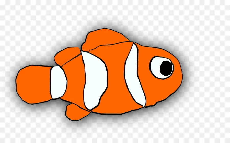 Poisson Clown，Poisson PNG