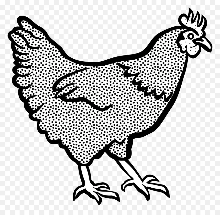 Cochin Poulet，Poulets Leghorn PNG