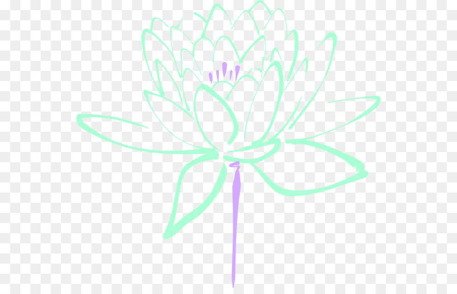 Égyptienne Lotus，Fleur PNG