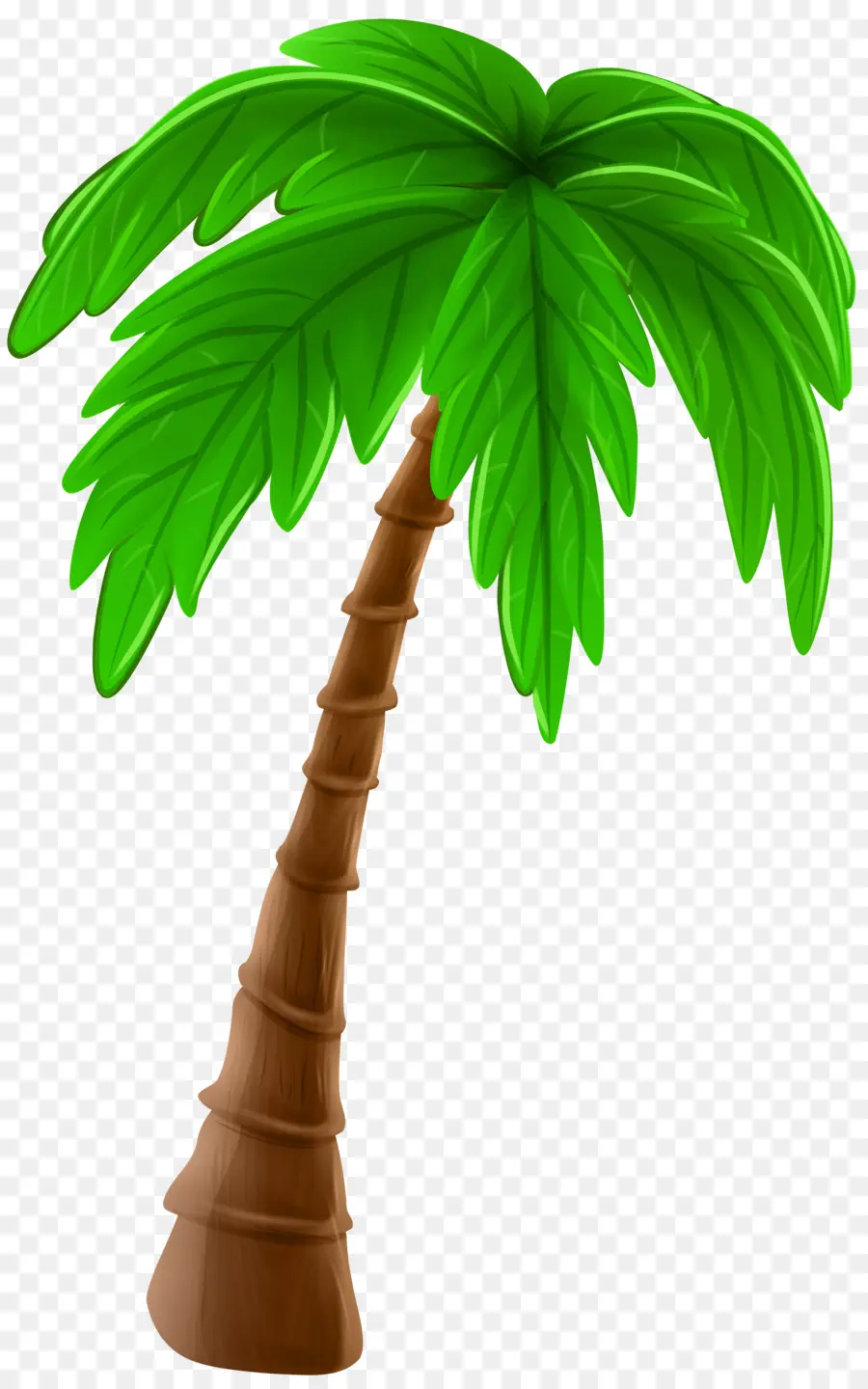 Arbre，Arecaceae PNG