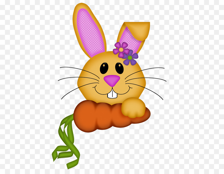 Lapin De Dessin Animé，Carotte PNG