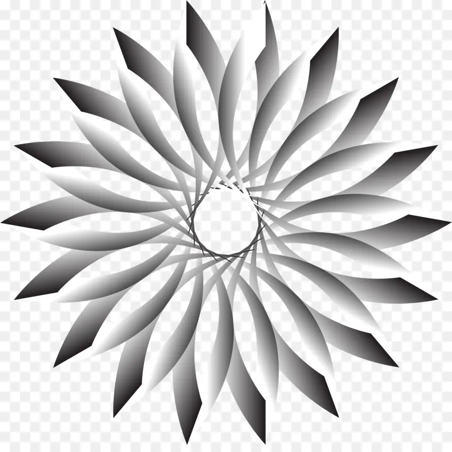 Fleur Noire Et Blanche，Fleur PNG