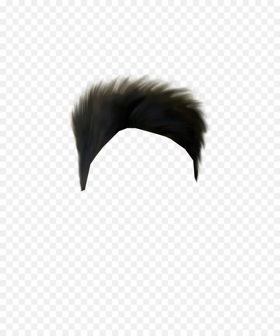 Cheveux Noirs，Perruque PNG