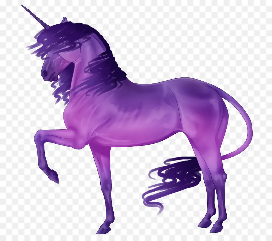 Licorne，Fantaisie PNG