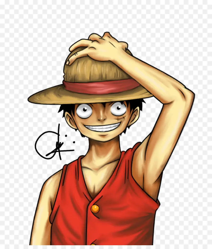 Singe D Luffy，Sourire PNG