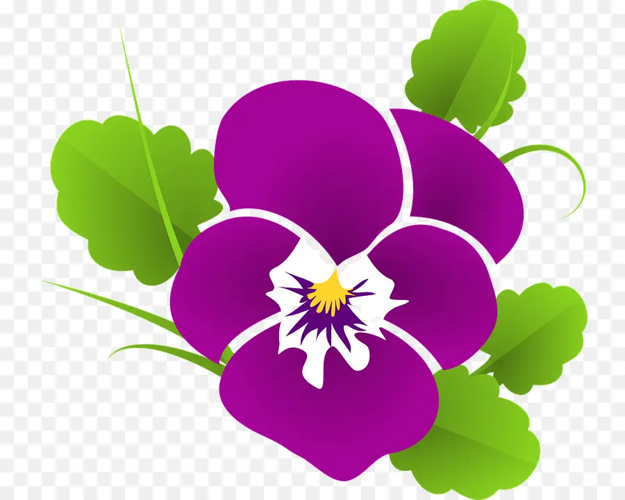 Fleur Violette，Feuilles Vertes PNG