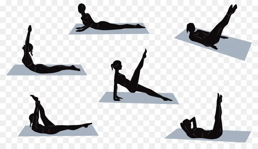 Pilates，L Exercice Physique PNG