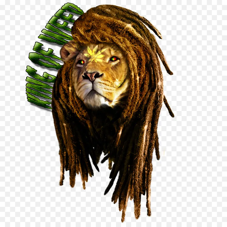 Lion Avec Des Dreadlocks，Roi PNG