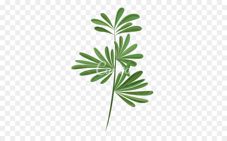 Feuille Verte，Herbe PNG