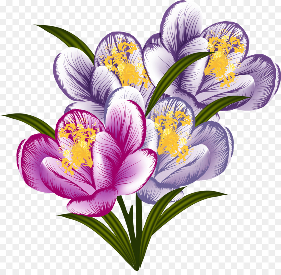 Fleur，Violet PNG