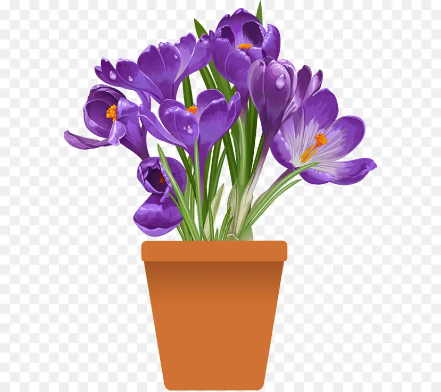 Plante，Fleur PNG