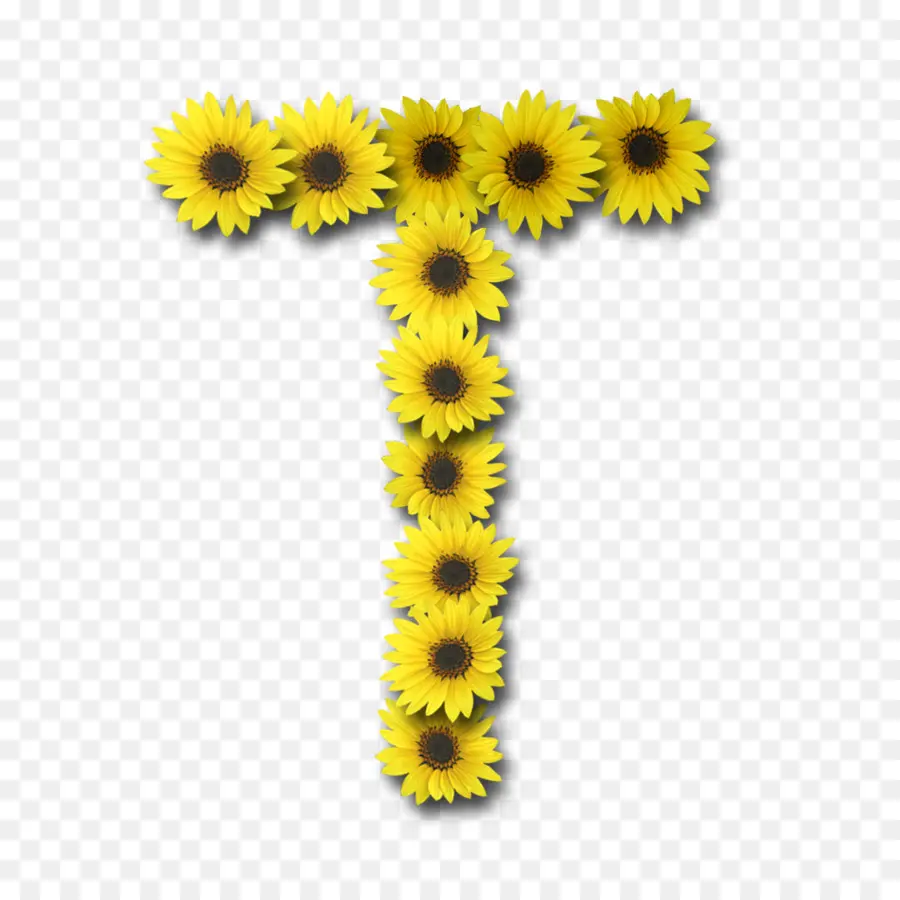 Commune De Tournesol，Fleur PNG