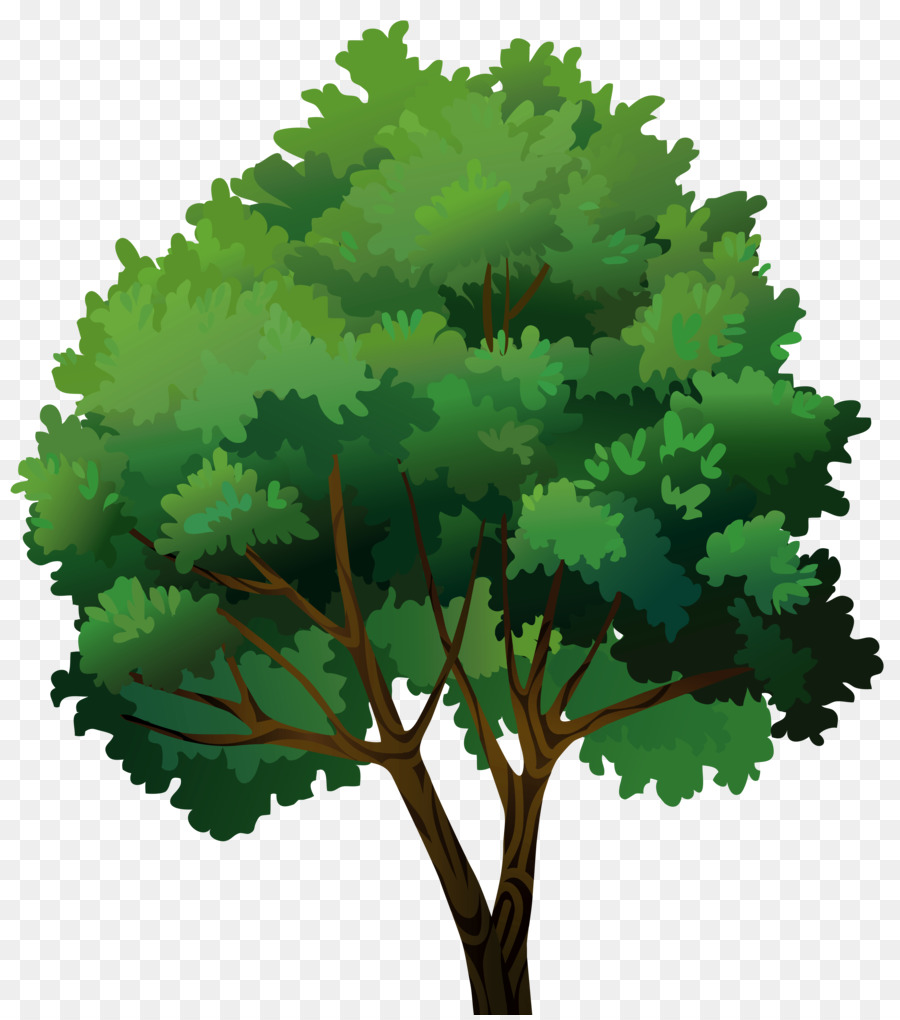 Arbre Vert，Usine PNG