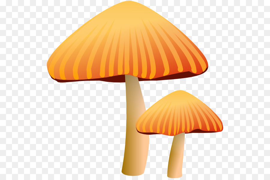 Champignons，Champignon PNG