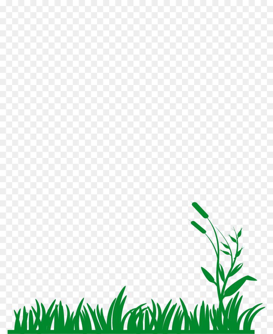 Quenouilles，Herbe PNG