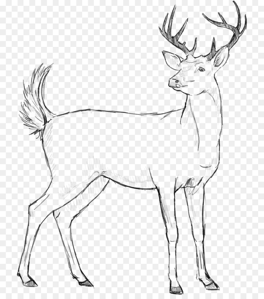 Cerf，Bois PNG