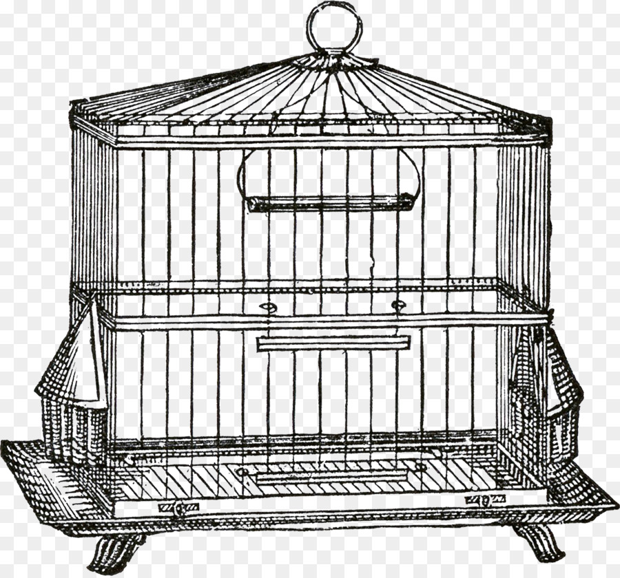 Cage à Oiseaux Antique，Cage PNG