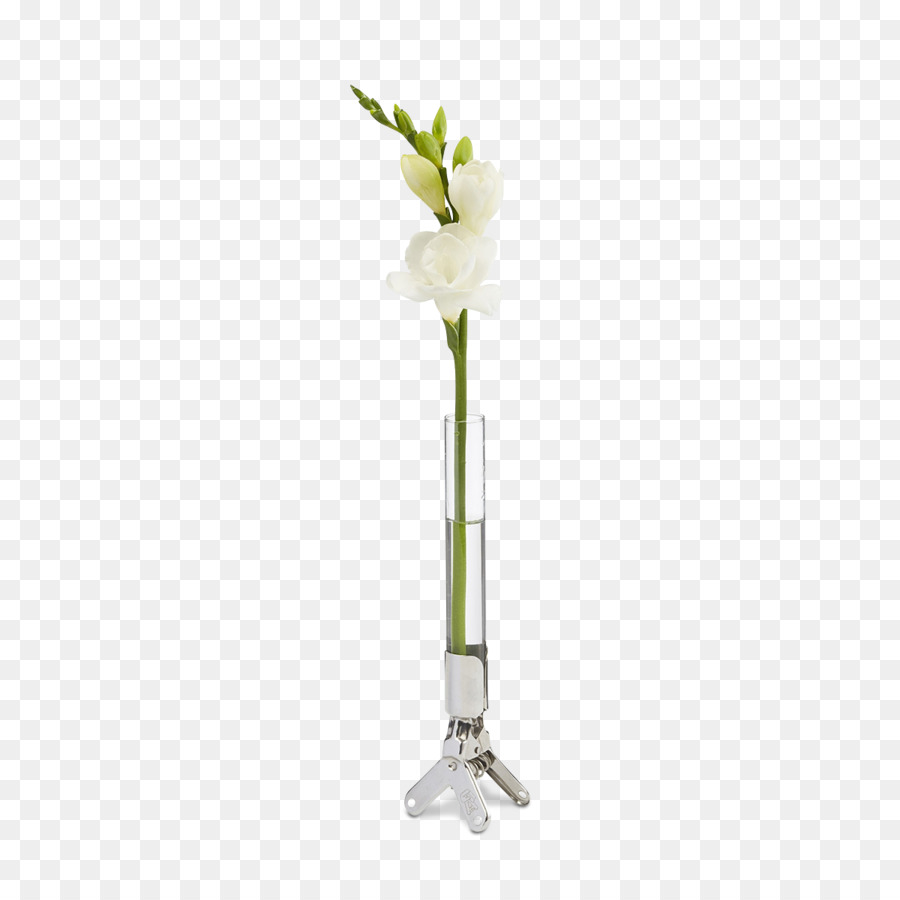 Fleur Dans Un Vase，Fleur PNG