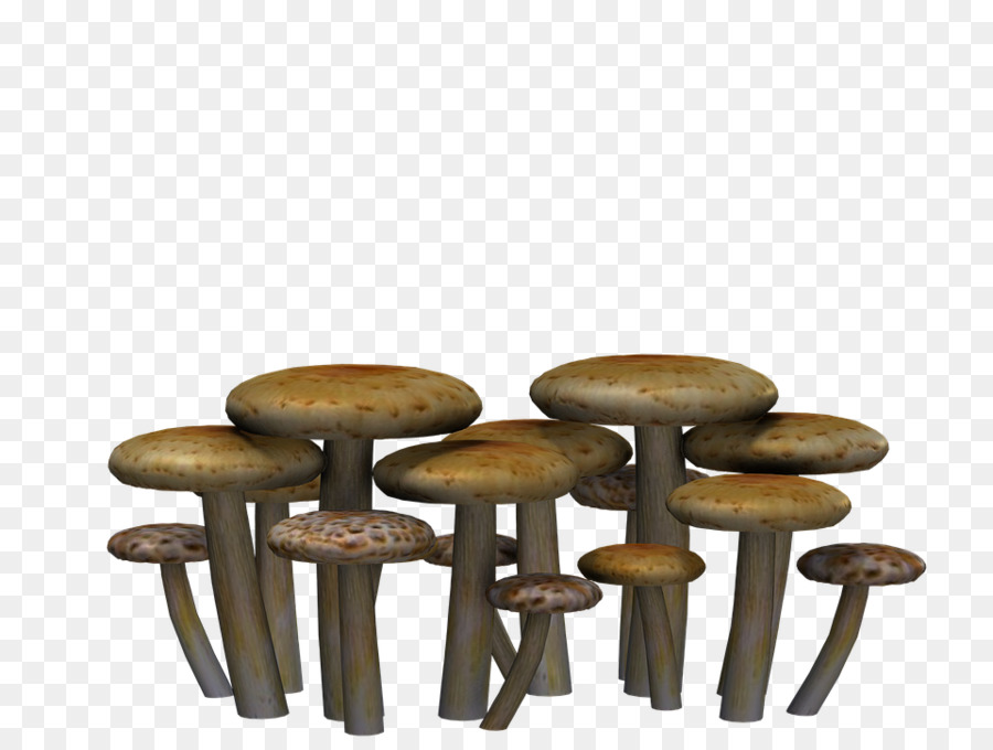 Champignons，Grappe PNG