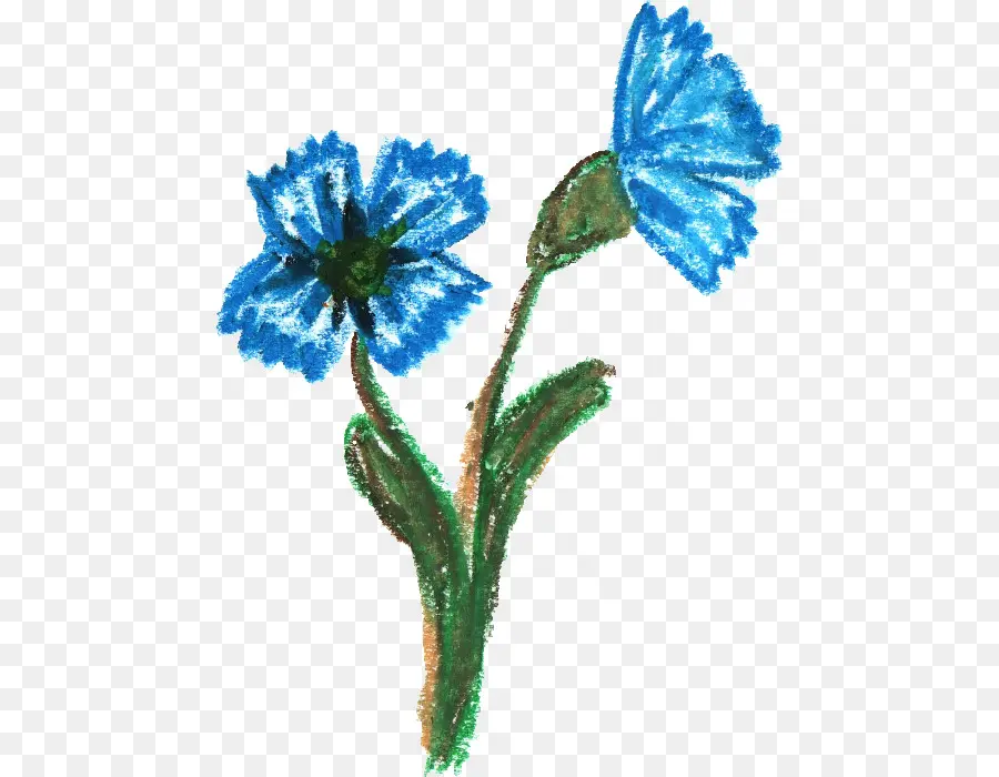 Fleurs Bleues，Fleurs PNG