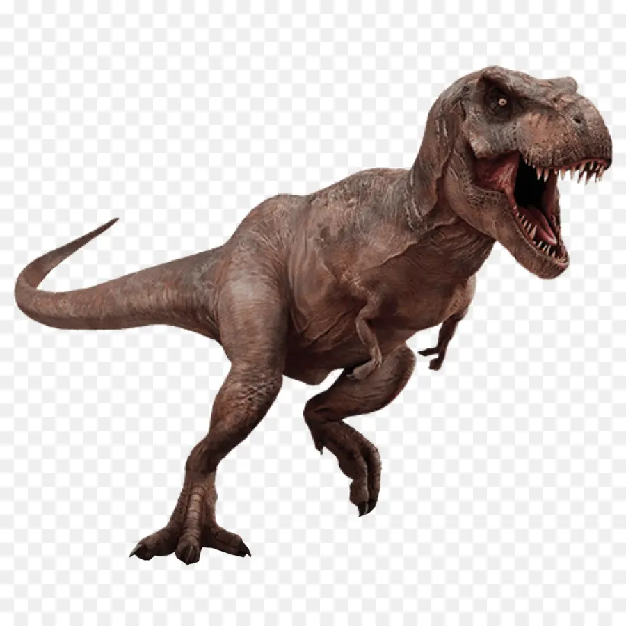 T Rex，Dents PNG