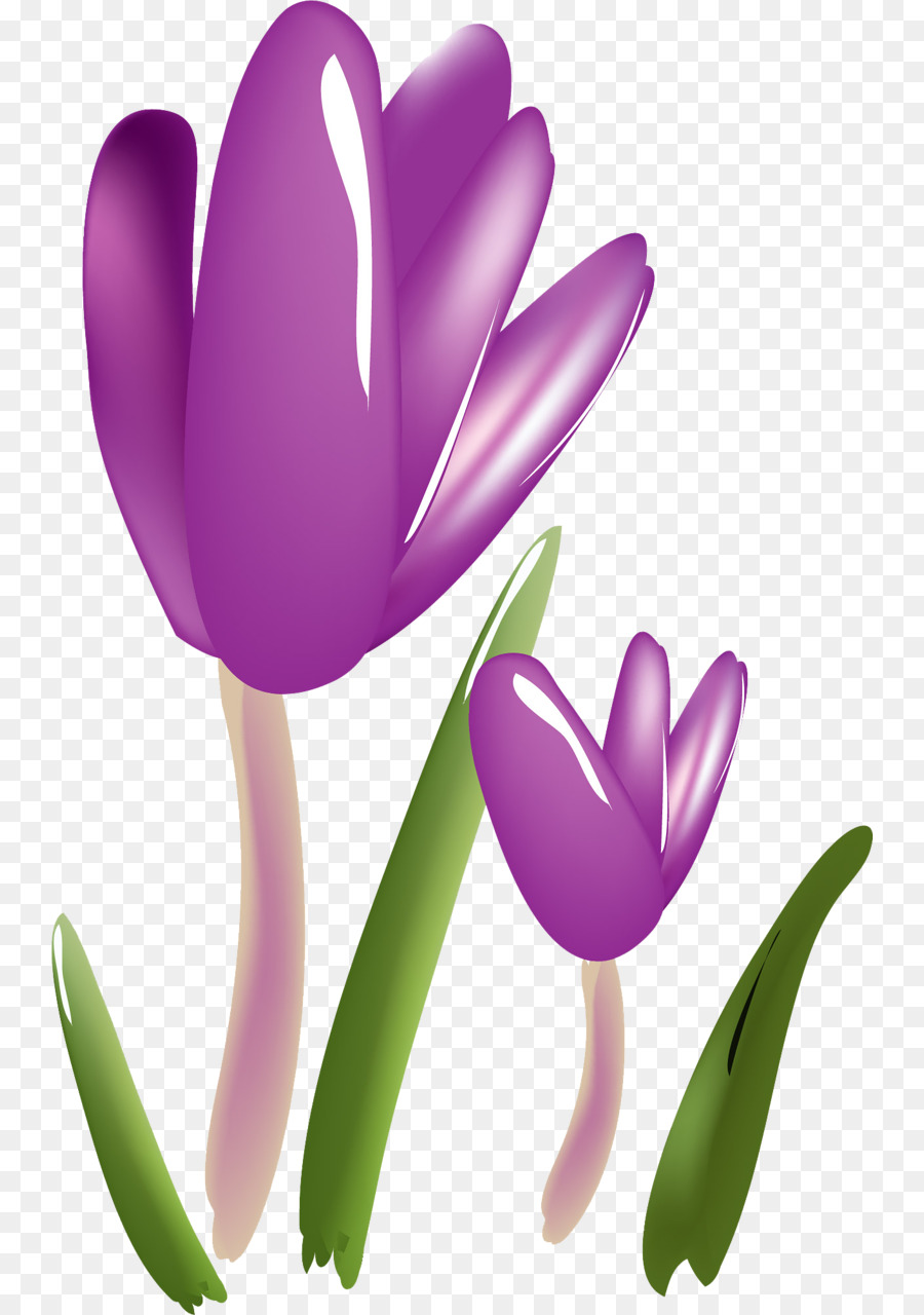 Fleurs，Rose PNG