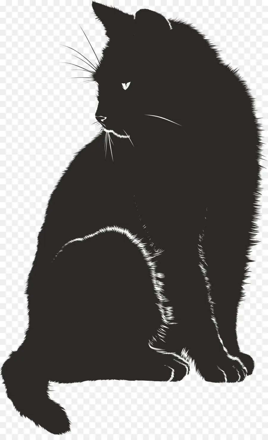 Chat Noir，Chat PNG