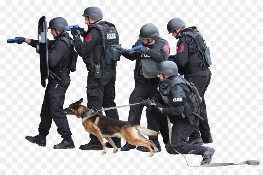 Police Avec Chien，K9 PNG