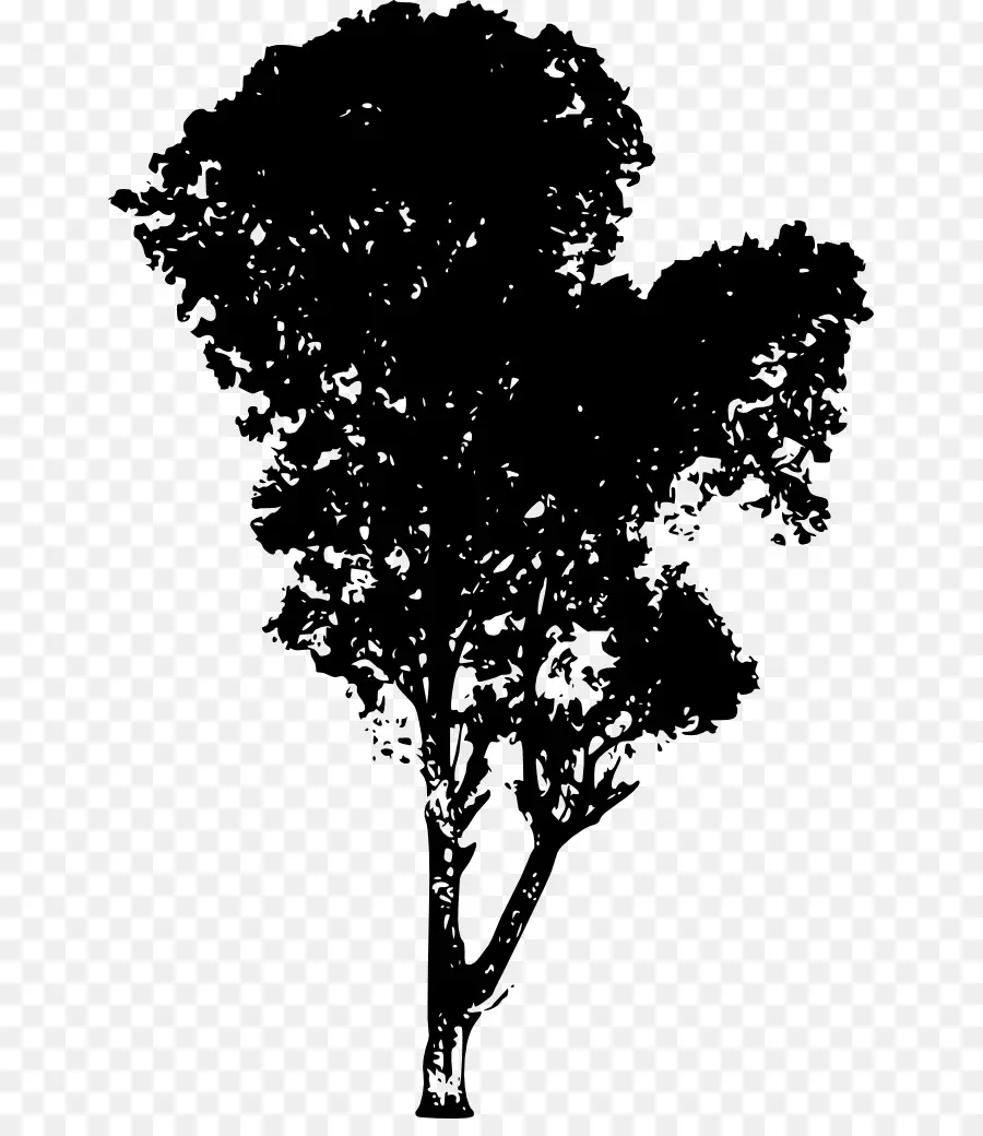 Silhouette D'arbre，Noir PNG