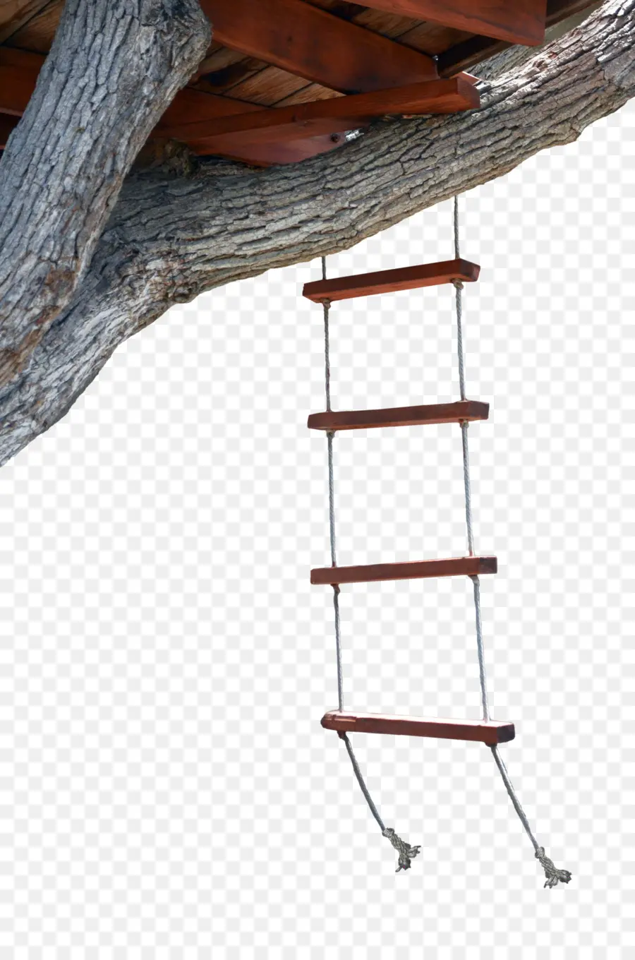 Échelle De Cabane Dans Les Arbres，Arbre PNG