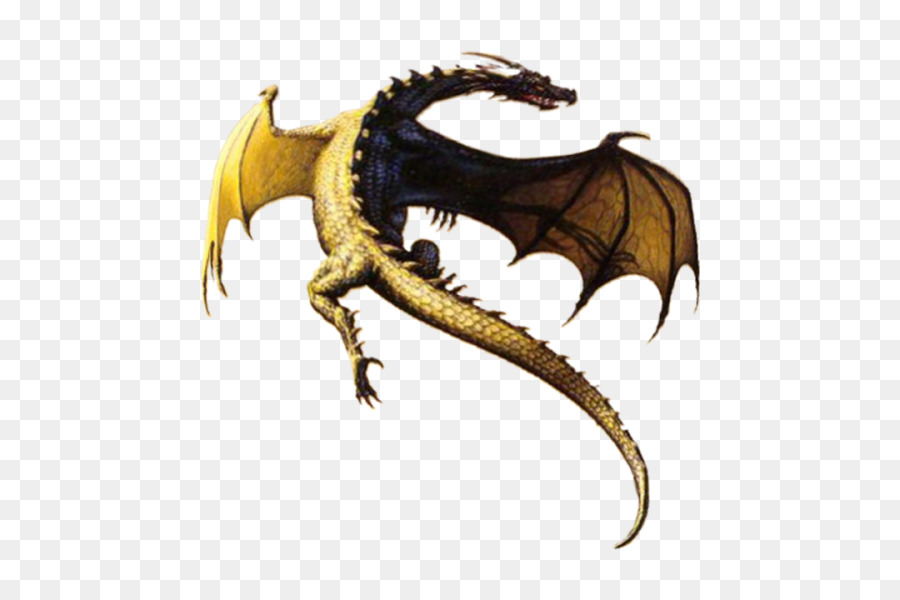 Dragon，Ailes PNG